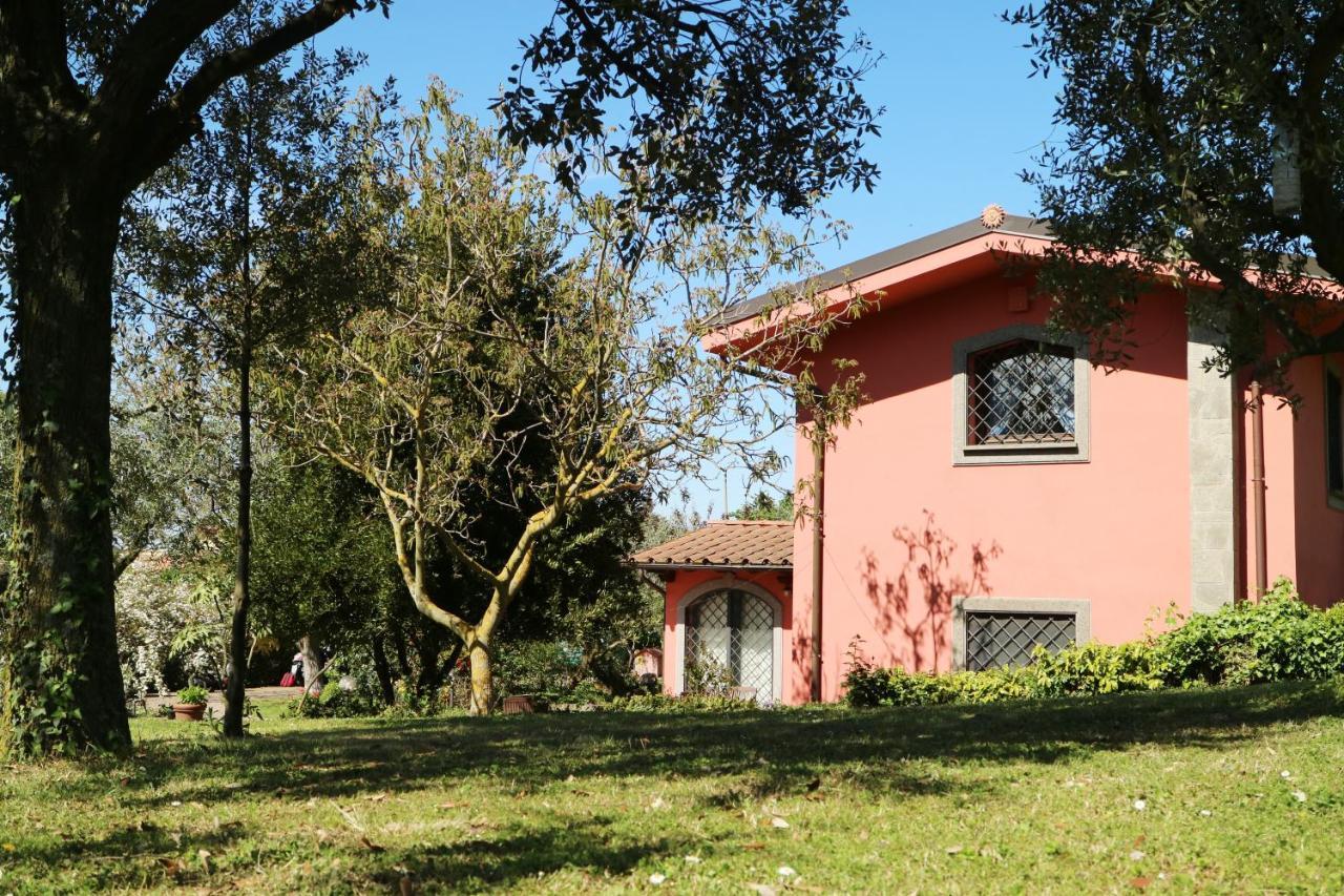 B&B Ai Glicini - Castelli Romani Marino Exterior foto