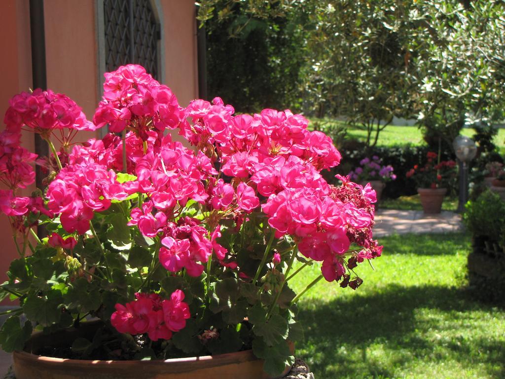 B&B Ai Glicini - Castelli Romani Marino Exterior foto