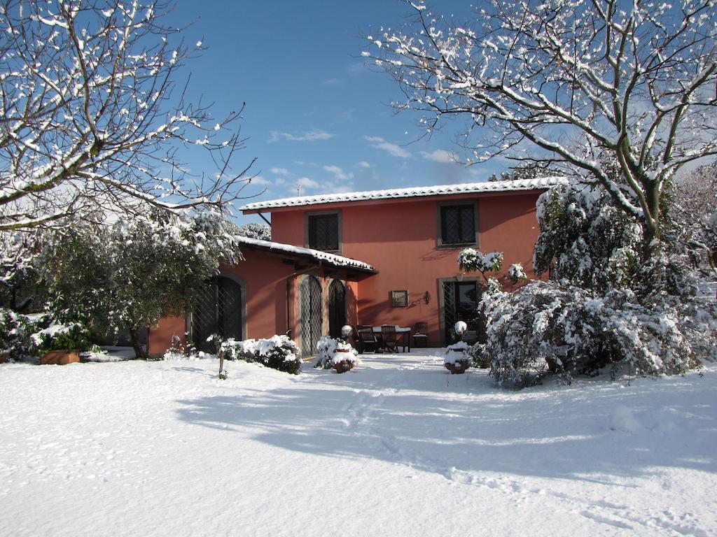 B&B Ai Glicini - Castelli Romani Marino Exterior foto